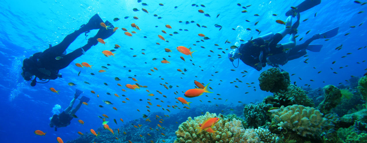 Scuba diving, Sol Resorts, Vilanculos
